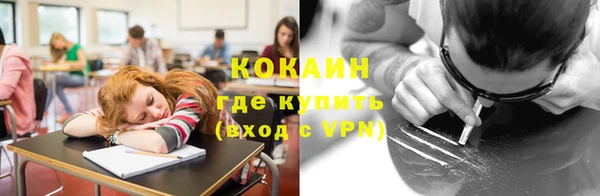 прущие грибы Магадан