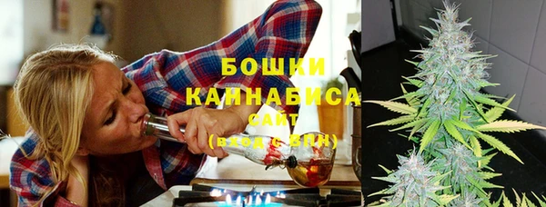 прущие грибы Магадан