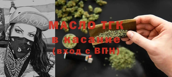 гидра Липки