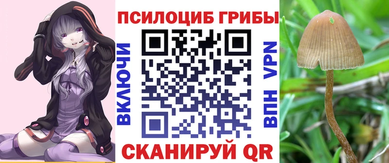 Галлюциногенные грибы Magic Shrooms  Суворов 