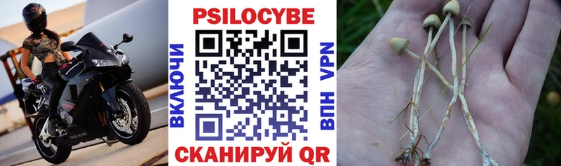 Псилоцибиновые грибы GOLDEN TEACHER Суворов